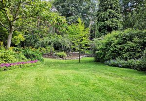 Optimiser l'expérience du jardin à Puiselet-le-Marais